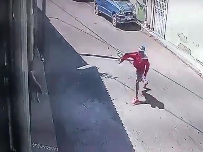 ¡Le da en el ojo! Perro es agredido con piedra