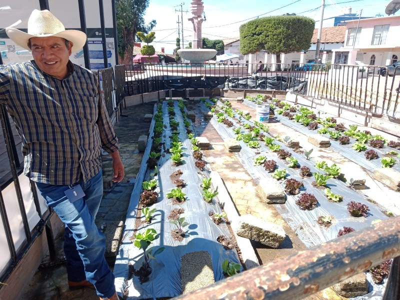 Captan agua de lluvia en Temoaya para cosechas