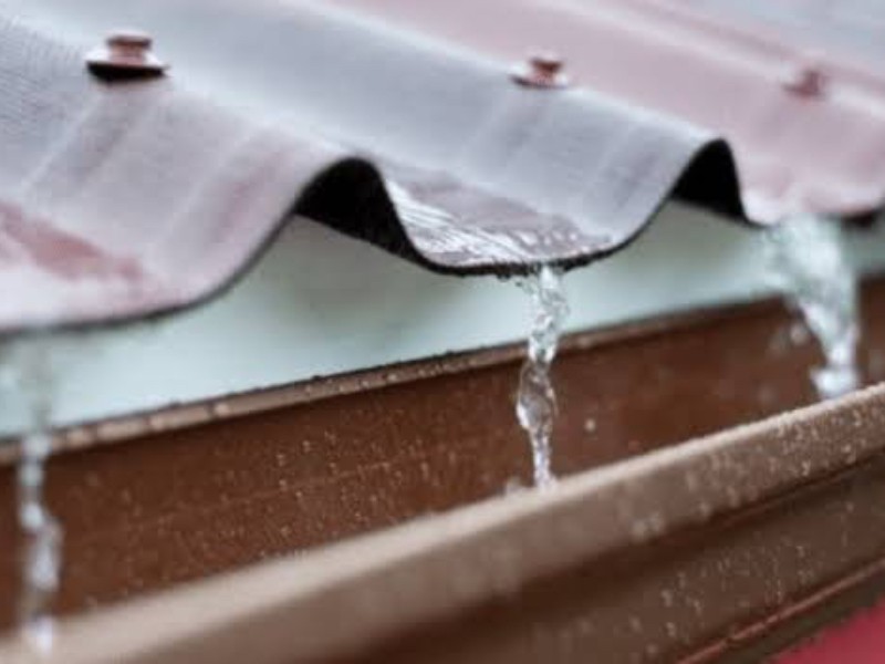 Captar agua de lluvia: solución económica y ecológica en temporada