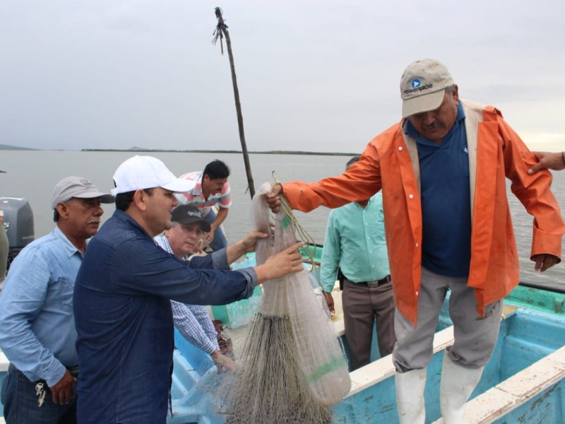 Captura de jaiba reactiva la pesca