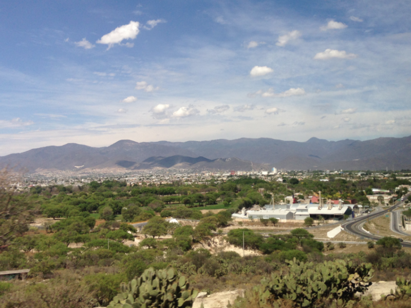 Carece mayoría de familias en Tehuacán de título de propiedad