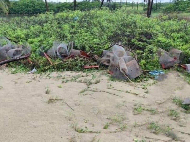 Carecen de apoyo gubernamental campamento tortuguero de San Luis.