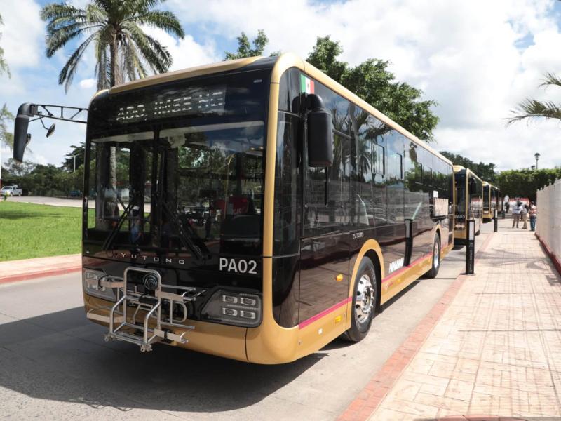 Carlos A. Carrillo y Cosamaloapan estrena transporte Papaloapan: tendrá cinco días gratis