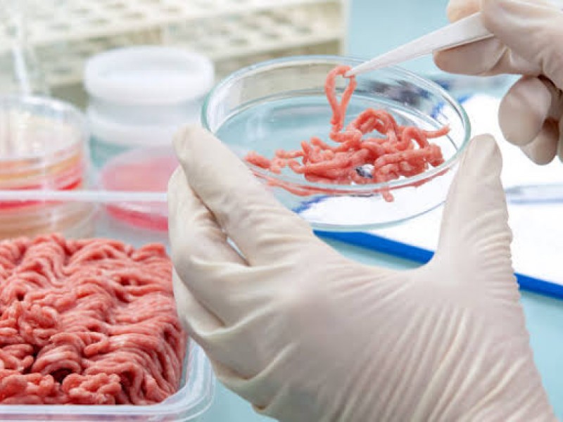 Carne cultivada en laboratorio podría llegar pronto a los supermercados
