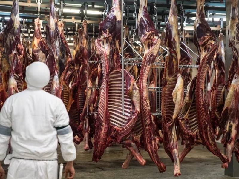 Carne de caballo: entre estigmas y tradiciones