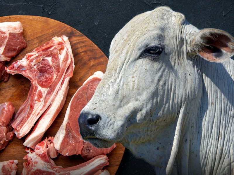 Carne encarece, pese a la baja del precio del ganado