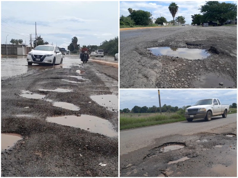 Red carretera estatal en abandono: Carretera León Fonseca-Guasave un peligro