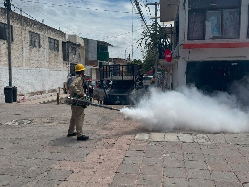 Carrillo Puerto recibe brigadas de fumigación y control por casos de dengue