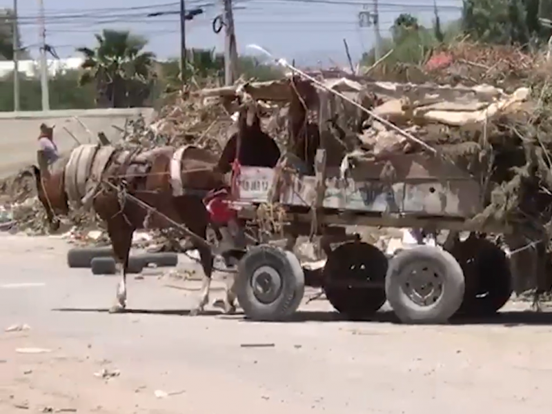 Carromateros serán sancionados si tiran escombro en lugares no autorizados