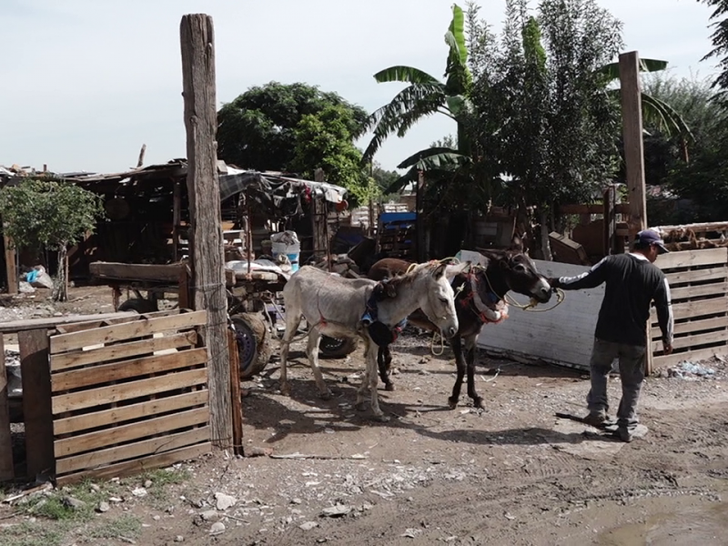 Carromateros viven las de Caín con las lluvias