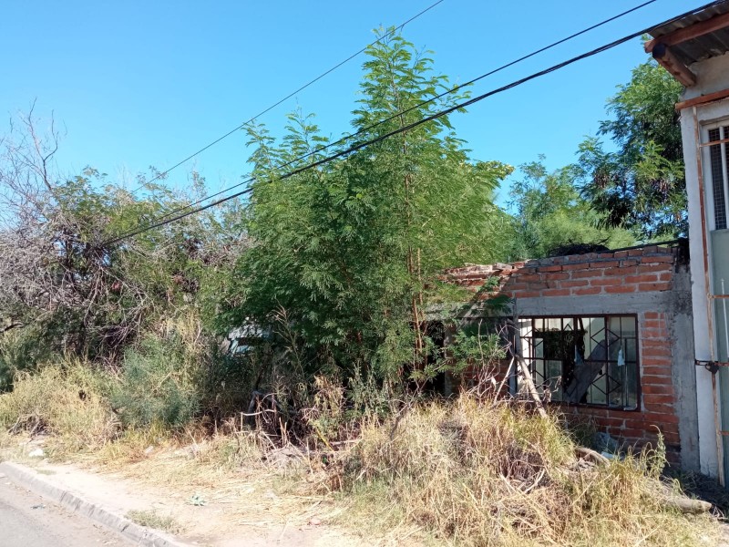 Casas y solares abandonados, un problema en la San Francisco