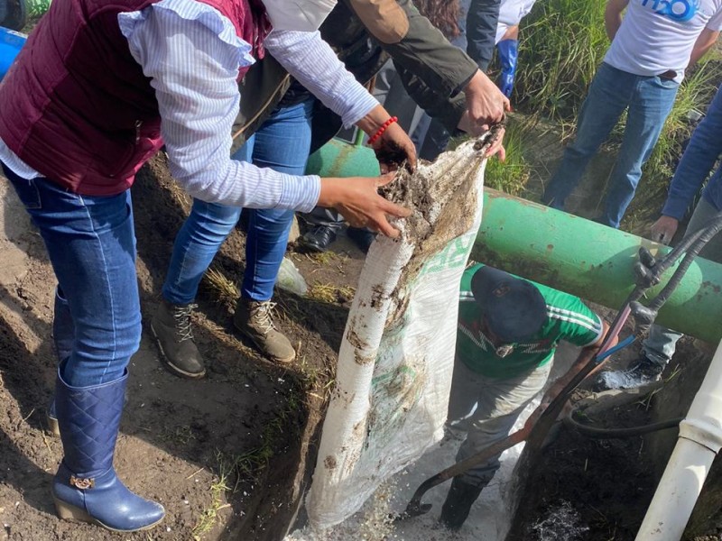 Cascarones de huevo: la solución para mejorar calidad del agua