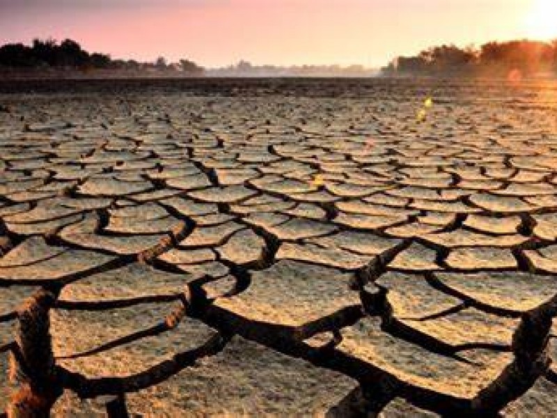 Casi el 60% del territorio mexicano padece sequía moderada