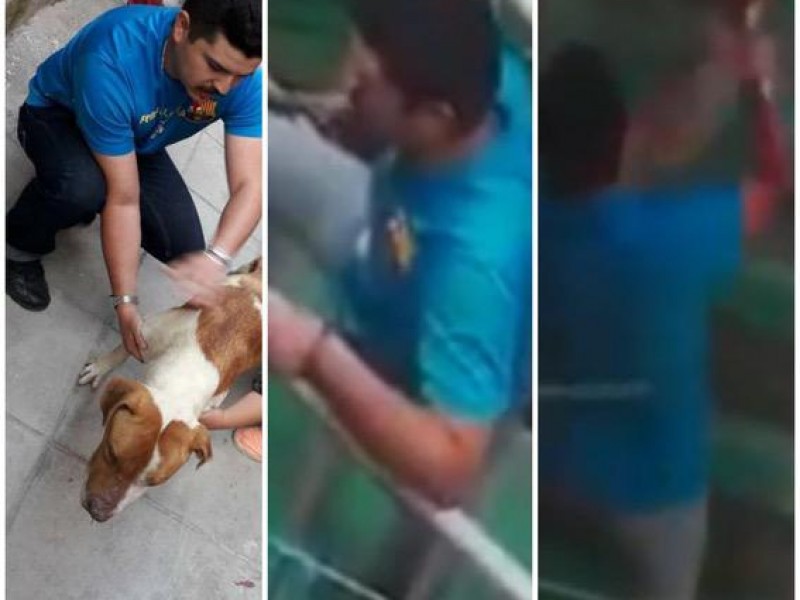 CASO DE MALTRATO ANIMAL EN INVESTIGACIÓN