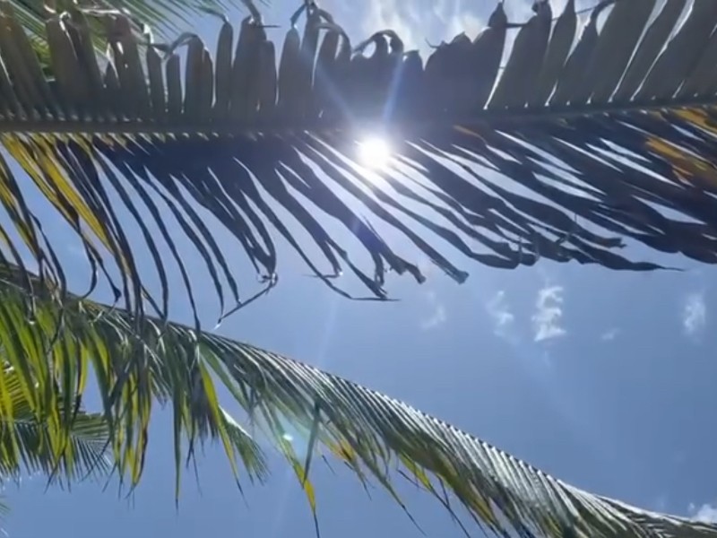 Casos leves de deshidratación reportan en Zihuatanejo, por altas temperaturas