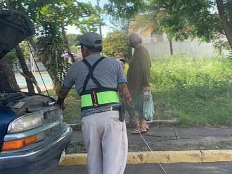 Causa indignación agresión a tlacuache en vía pública