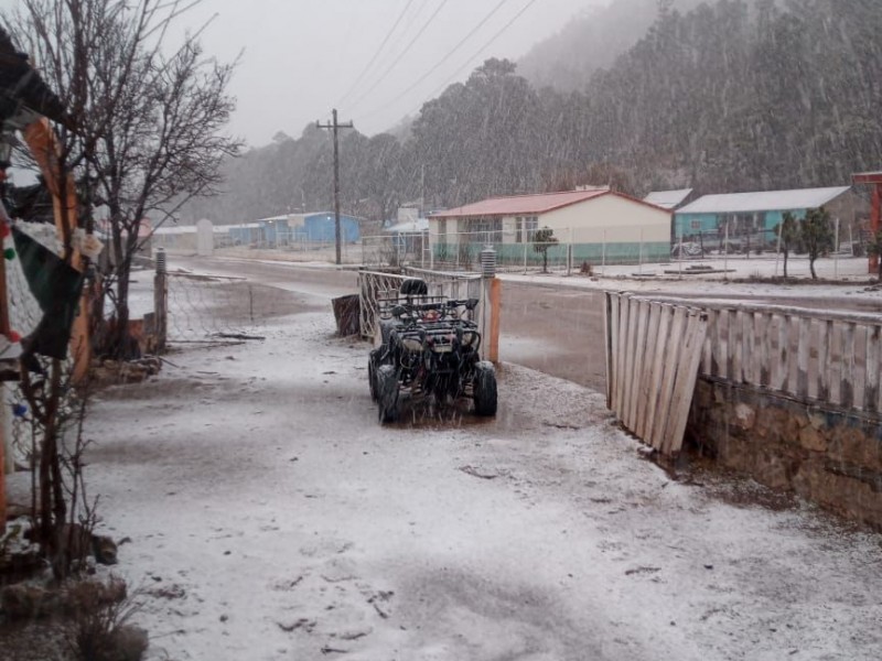 Cayo nieve en 6 comunidades de Durango