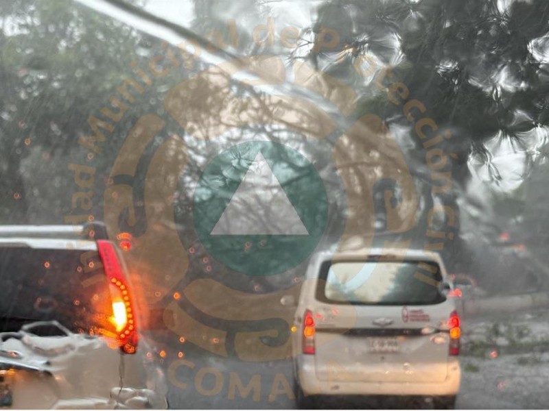 Cae árbol y bloquea la carretera Villa de Álvarez-Comala
