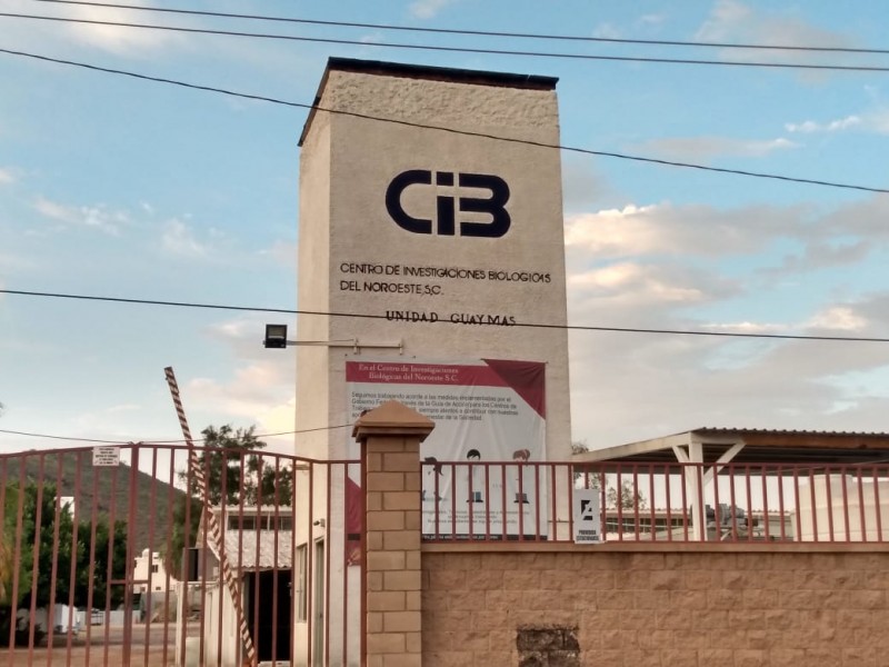 Celebra CIBNOR su 27 aniversario en Guaymas