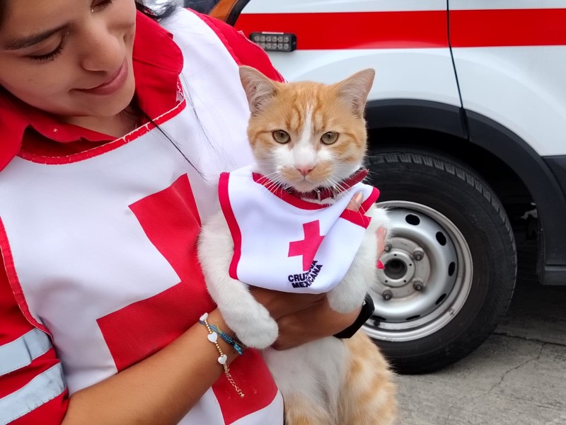 Celebra Cruzberto su día con colecta en Cruz Roja Toluca