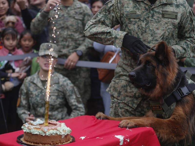 Celebra Ejército a perro rescatista donado por Turquía