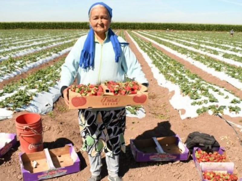 Celebra la ONU a las mujeres rurales