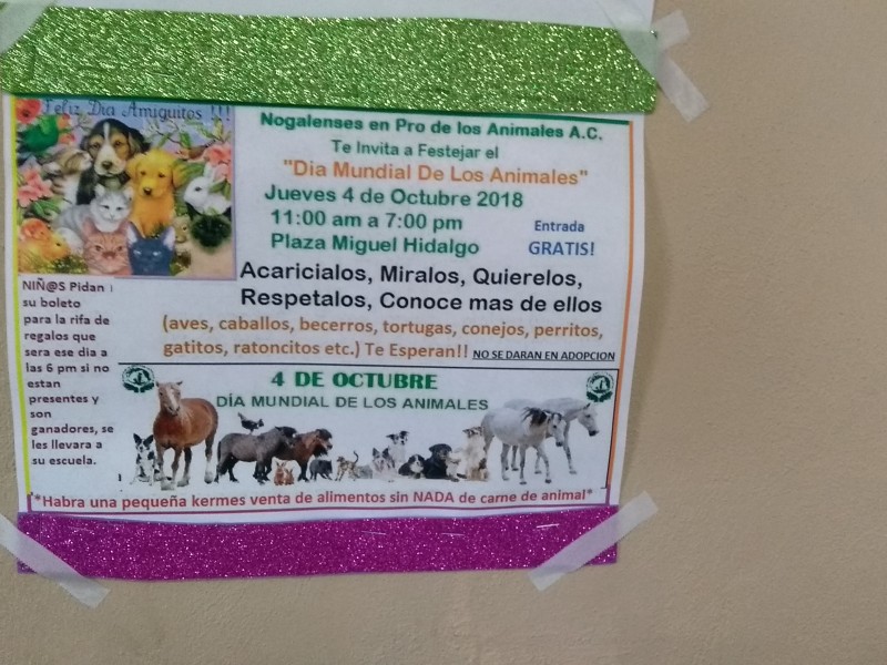 Celebración del día mundial de los animales.