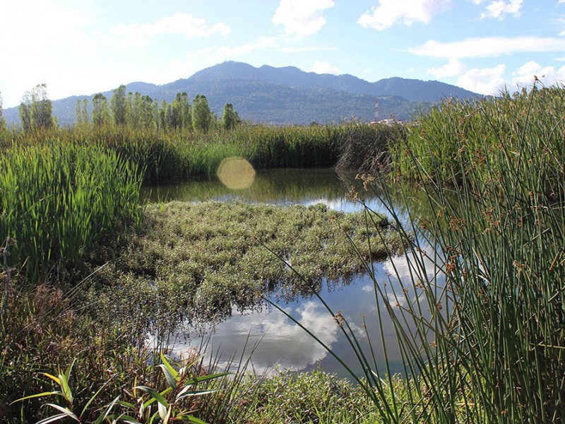 Celebran ceremonia de preservación ambiental en SCLC