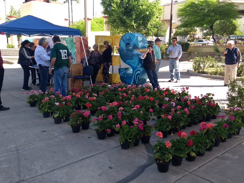 Celebran día de la tierra en Nogales.