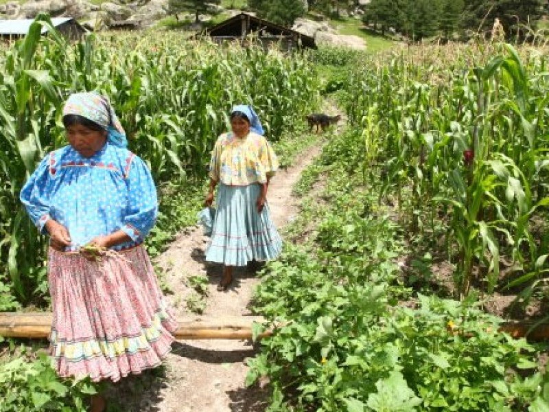 Celebran el día mundial de las Mujeres Rurales