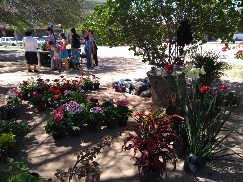 Celebran Festival de las Plantas