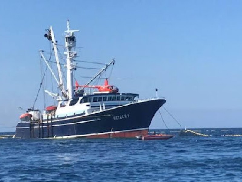 Celebran pescadores que este año no han llegado buques camaroneros