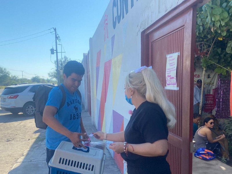 Centro de Control Canino Torreón realizará campaña de esterilización para gatos