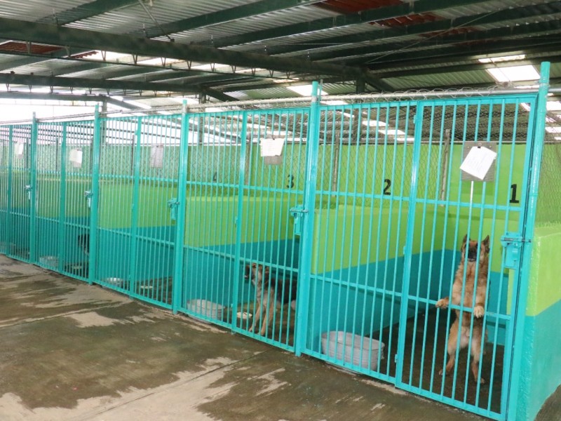 Centro de Control y Bienestar Animal de Toluca bajo lupa