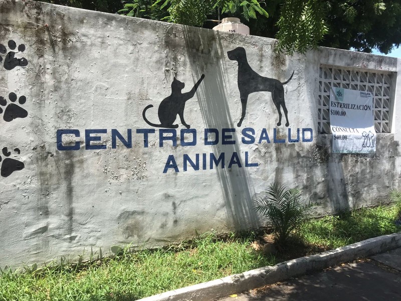 Centro de Salud Animal no cuenta con material: Rescatista