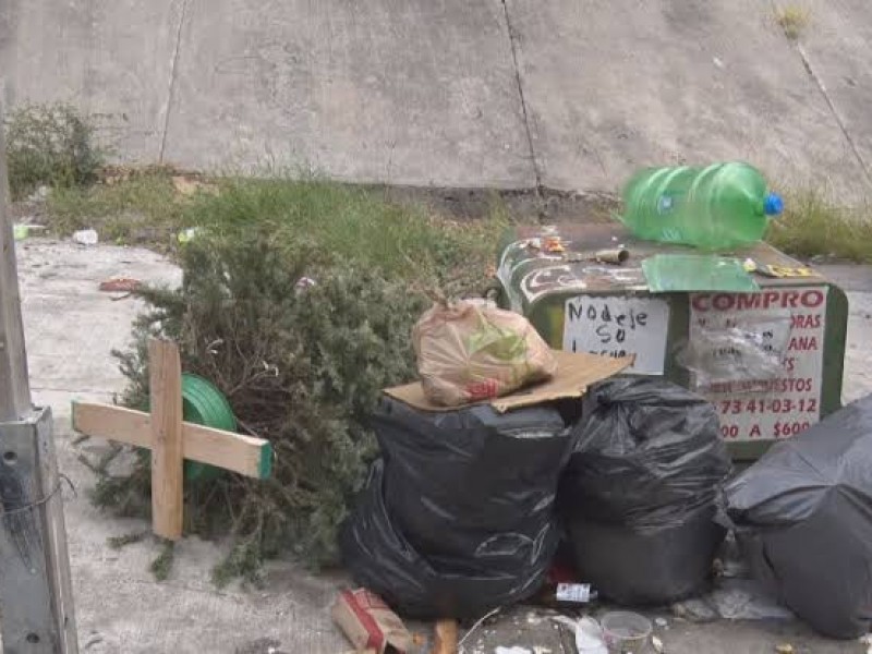 CENTROS DE ACOPIO PARA ARBOLITOS DE NAVIDAD