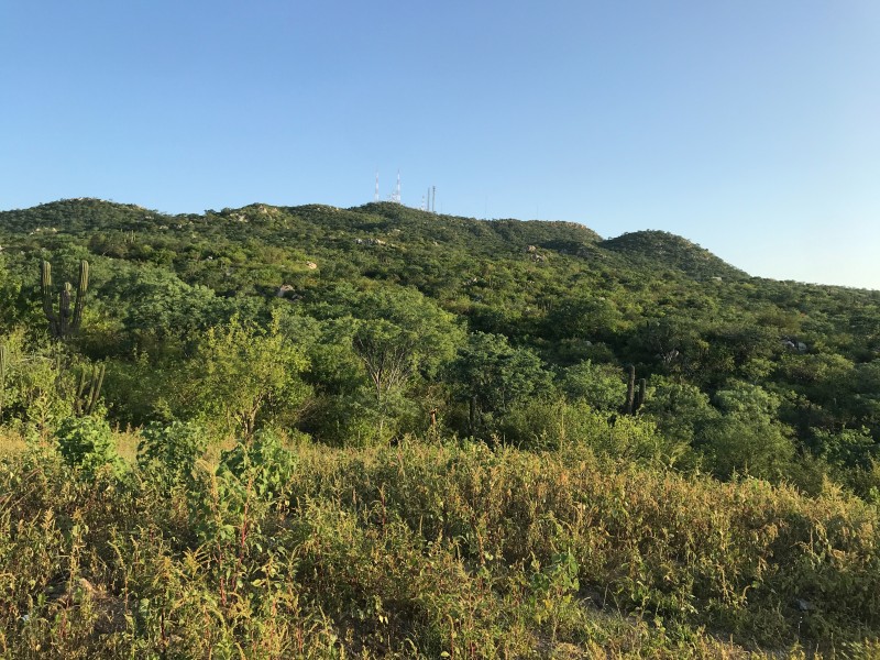 Cerro de las antenas, se ha convertido en una zonainsegura