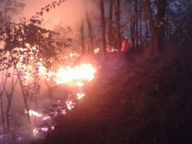 Cerros de Tepic, sufren los primeros incendios