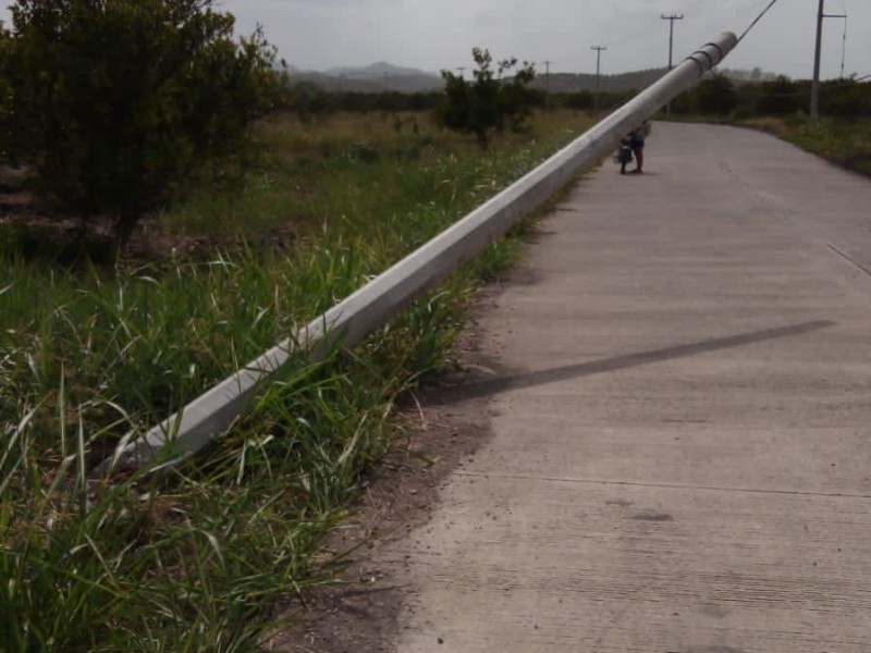 CFE ignora reporte por poste caído