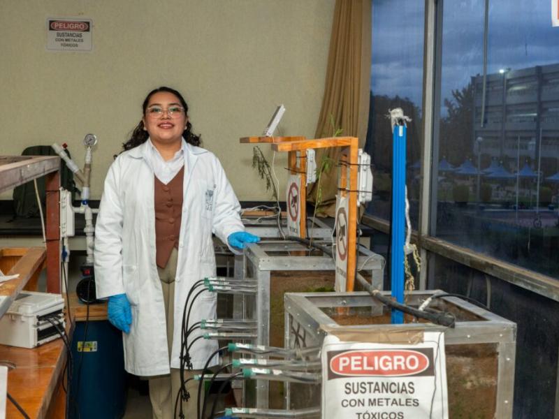 Chapingo investiga uso de cempasúchil para recuperación agrícola