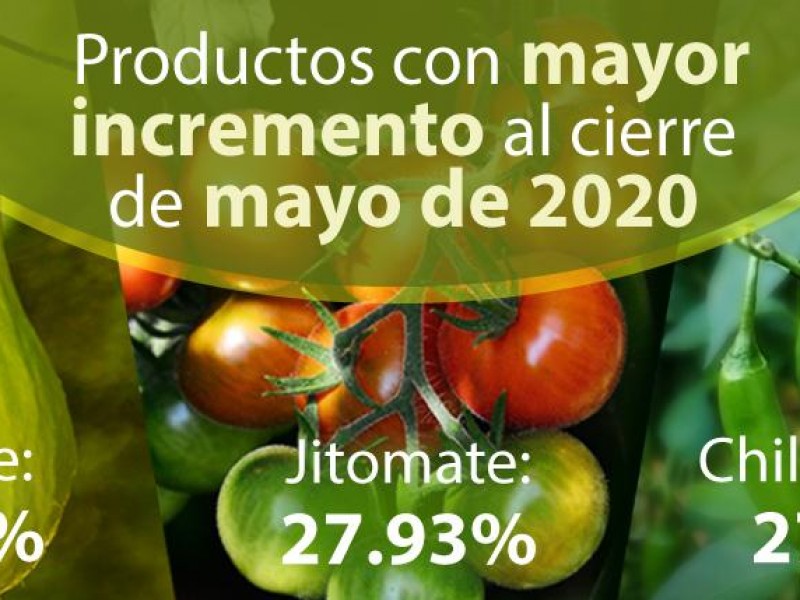 Chayote, jitomate, y chiles; productos con mayor incremento en precio
