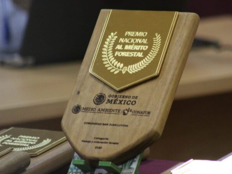 Chiapaneco es galardonado con Premio Nacional Forestal