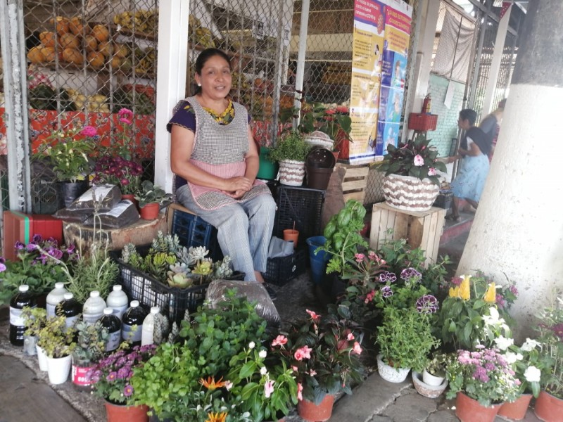 Chiapanecos que viven al día, no pueden dejar de trabajar