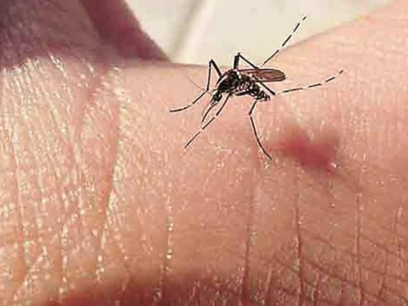 Chiapas con dos decesos por Dengue