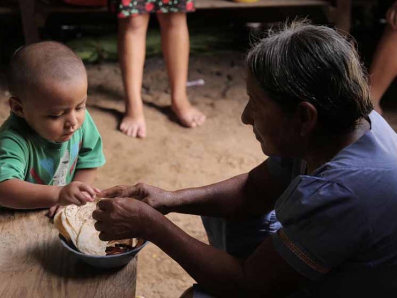 Chiapas con familias con carencias alimentarias