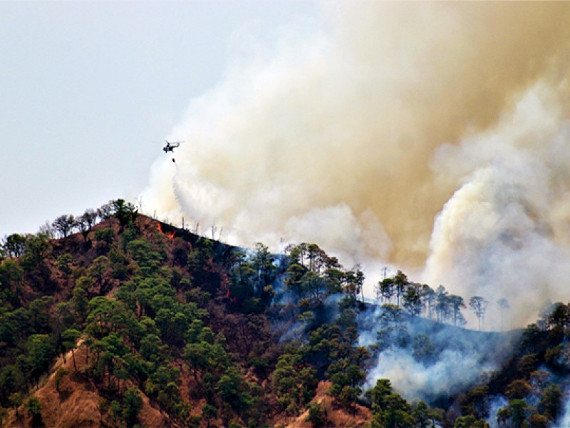 Chiapas con mayor superficie siniestrada por incendios en 2022