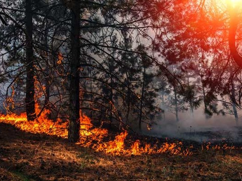 Chiapas con retos por fenómenos naturales