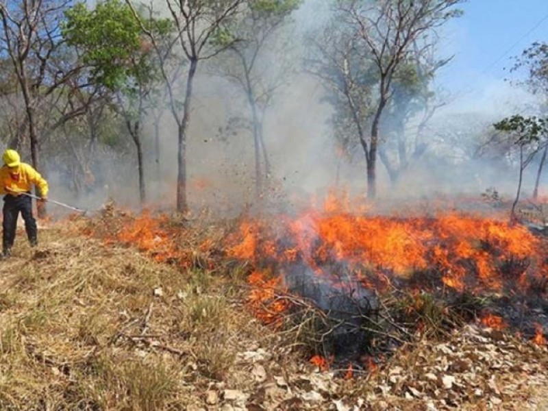 Chiapas creará mapa de riesgo contra incendios