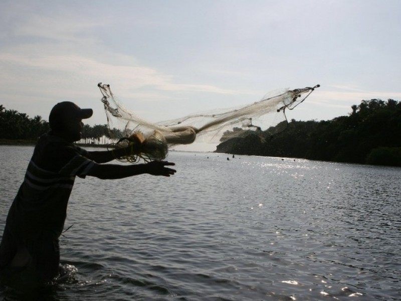 Chiapas de las 8 entidades con mayor actividad pesquera