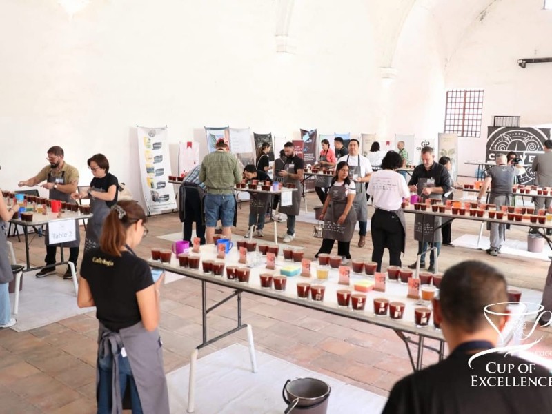 Chiapas, el número 1 en producción de café
